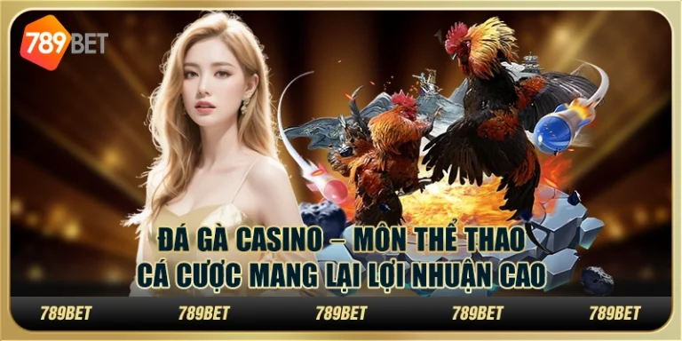 Đá gà casino